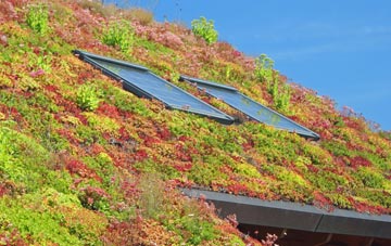 Clachtoll living roof systems